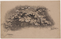 KT 1129
<br/>
Een bramenstruik
<br/>
<em>Bastert, Nicolaas (1854-1939)</em>